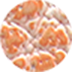 ダルメシアン